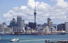 Wyjazdy językowe do Nowej Zelandii